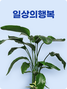 일상의행복